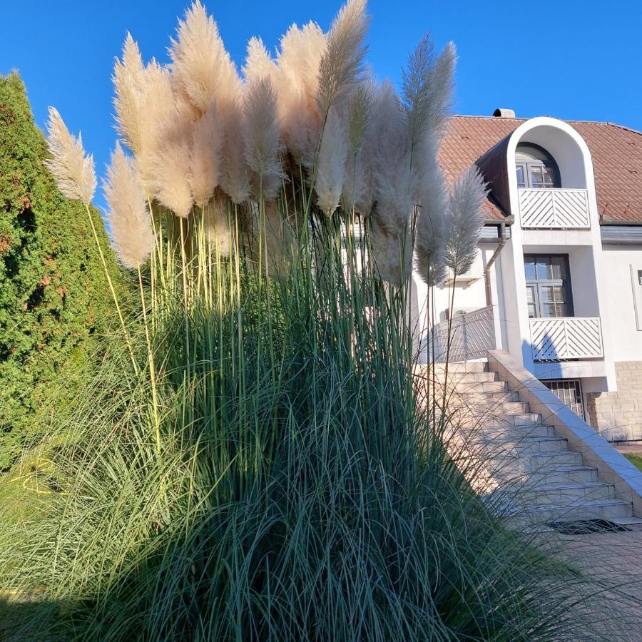 באלאטונפורד Napfeny Villa מראה חיצוני תמונה